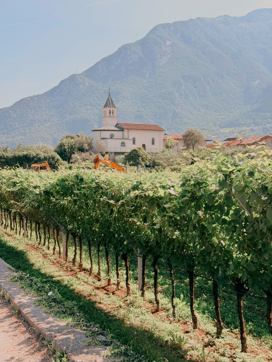 Garda Trentino