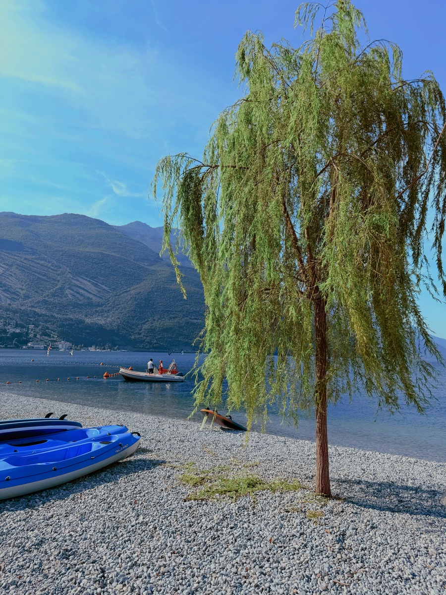 Lungolago sul Garda Trentino